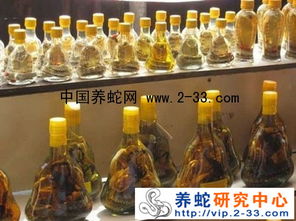 蛇酒的禁忌 癲癇患者為何不宜飲用