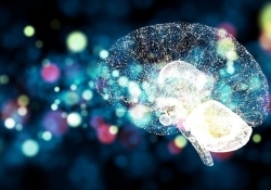 癲癇臨床研究進(jìn)展 細(xì)胞工廠技術(shù)在治療中的應(yīng)用與展望